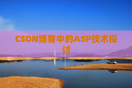 CSDN博客中的ASP技术探讨
